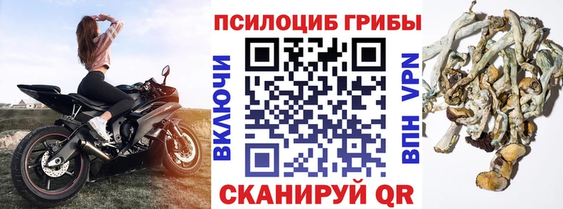 Галлюциногенные грибы прущие грибы  купить   Светлоград 
